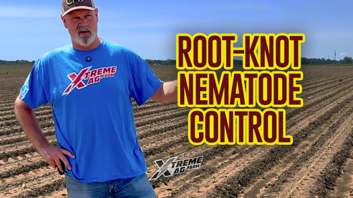 Controlling Root-Knot Nematodes