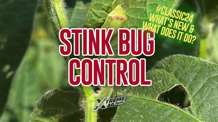 What's New and What Does It Do? Stink Bug Control